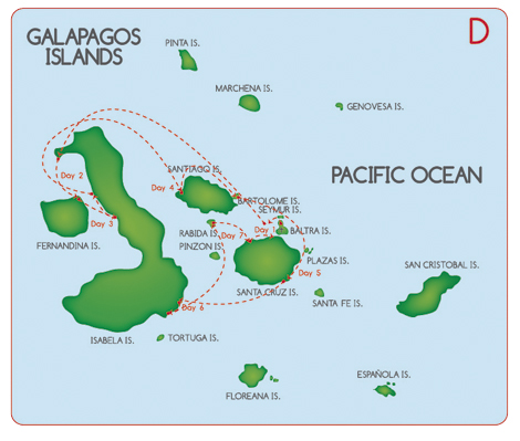 Itinerary D